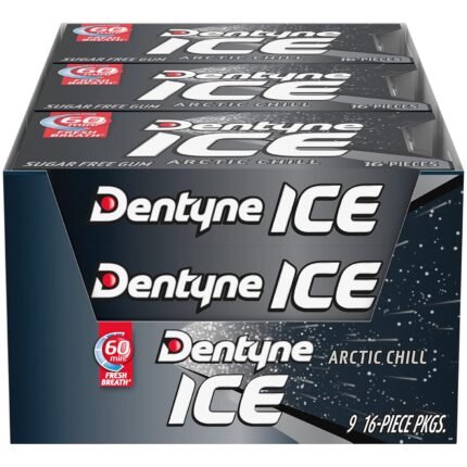 Dentyne Ice Arctic Chill Sugar Free Gum, 16 pieces